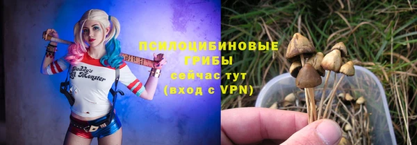 сатива Баксан