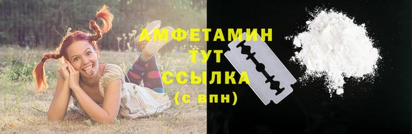 сатива Баксан