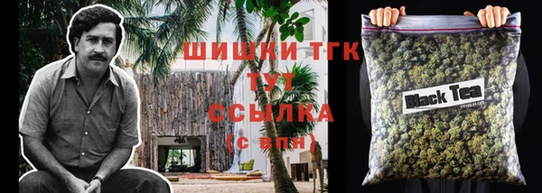 сатива Баксан