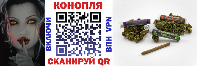 купить наркотик  Бор  МАРИХУАНА ГИДРОПОН 